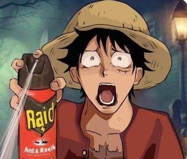 luffy spraying raid